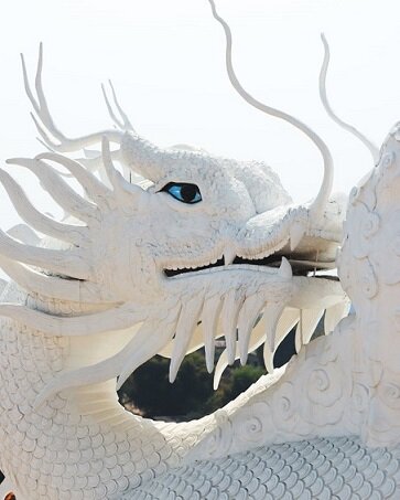 Изображение из открытого источника. Unsplash