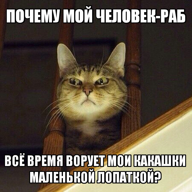 Мне вот тоже интересно!  😠  Люди, вам, что своих мало?