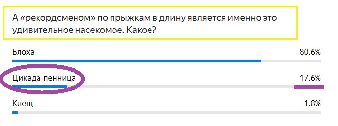 Правильный ответ - ФИОЛЕТОВЫМ