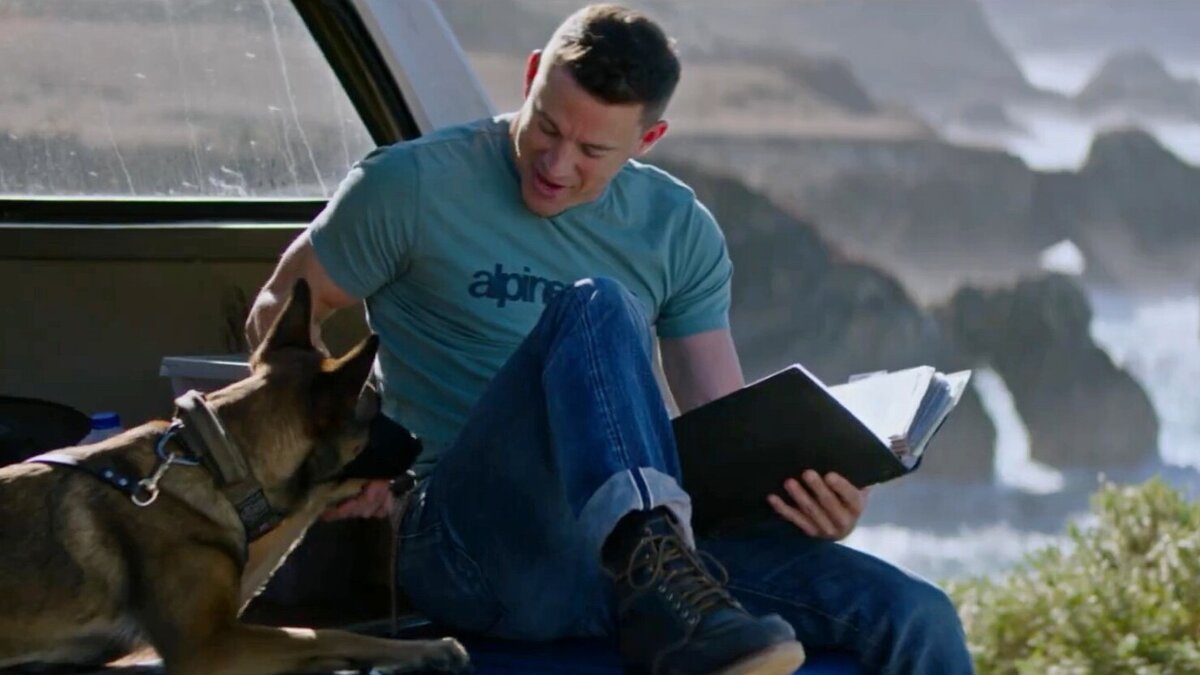 Источник "Яндекс.Картинки"