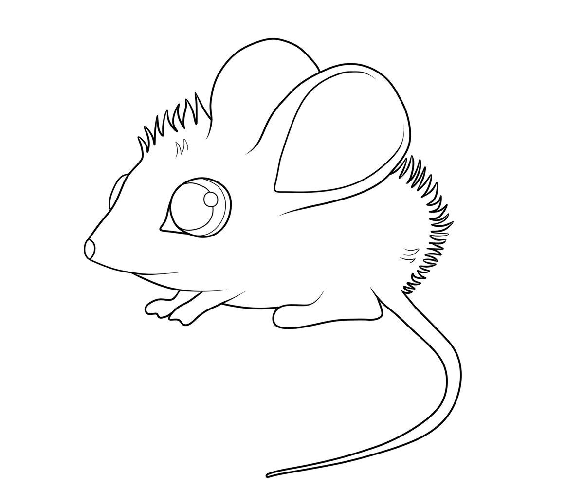 Обрисовка в векторе SAI