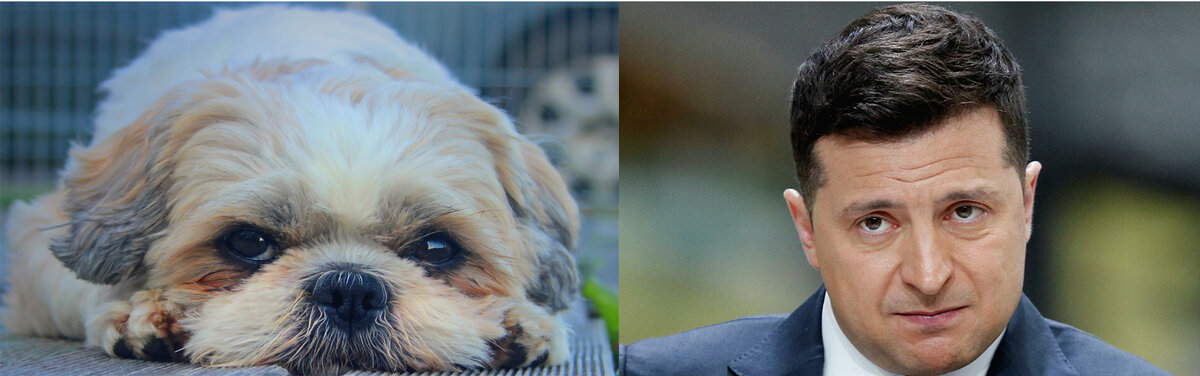 Зацените взгляд у того, что слева...