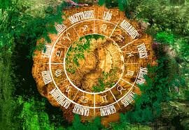 Фото из сети