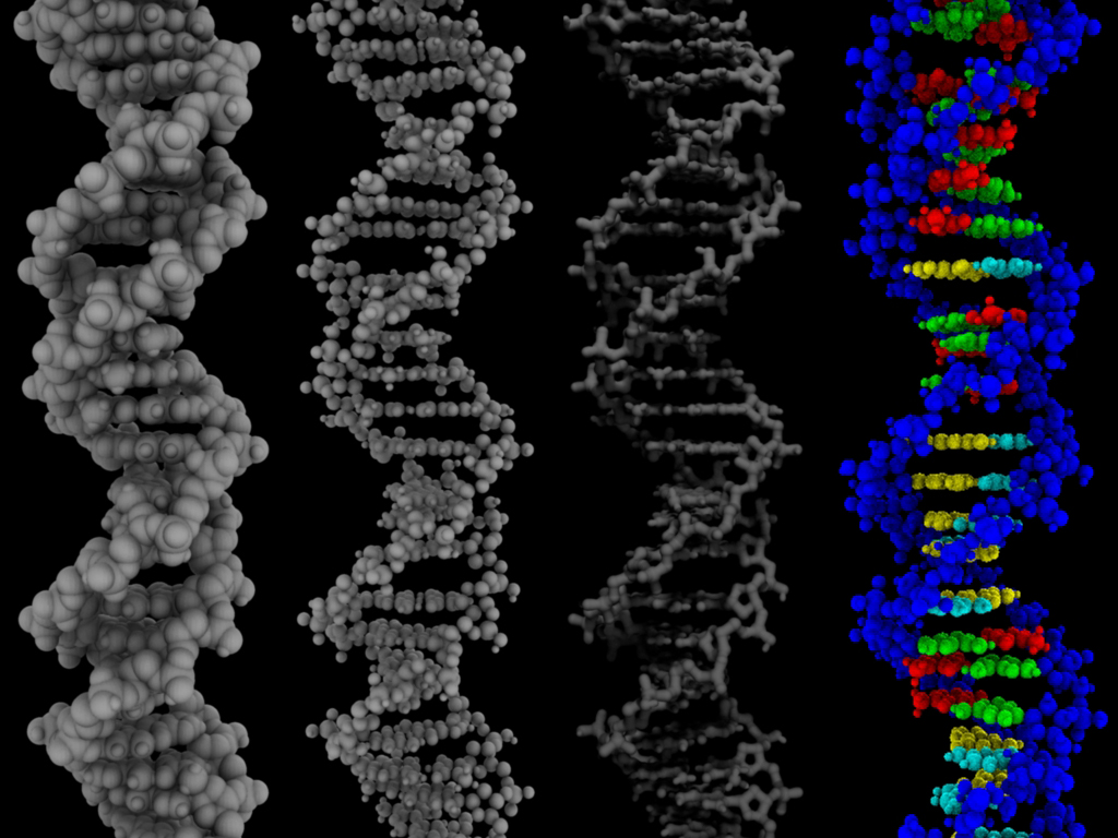 Цепочка днк под микроскопом. Молекула днк электронный микроскоп. В днк реальные люди. Реальное изображение днк. В днк реальные люди.