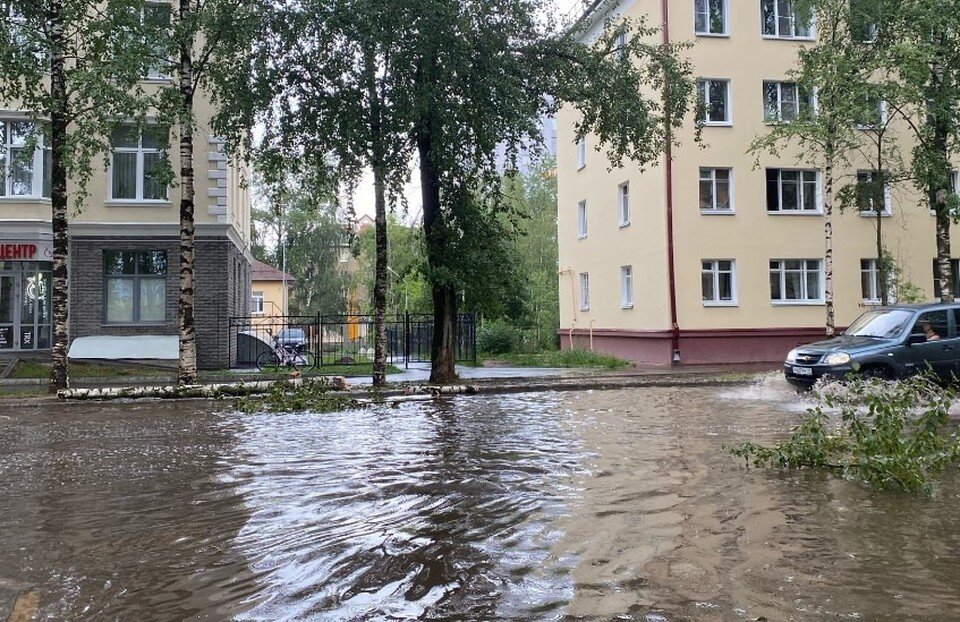     Фото: соцсети