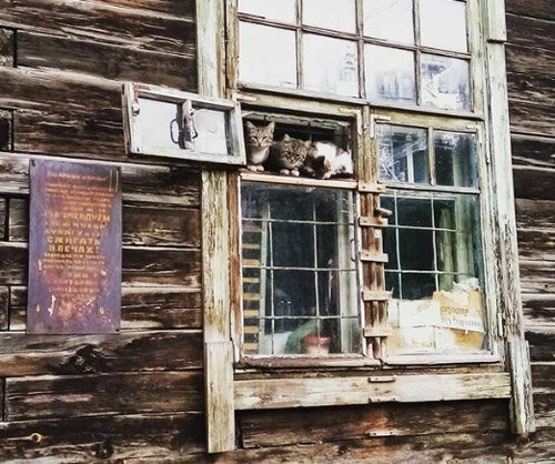 Улица Степная в Новосибирске. Фото: (с) "Эпиграф.инфо"