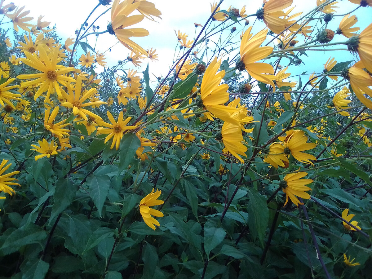 Фото автора Деленн