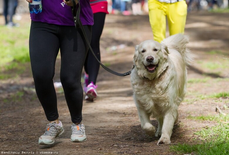    Фото: Дмитрий Кандинский / vtomske.ru