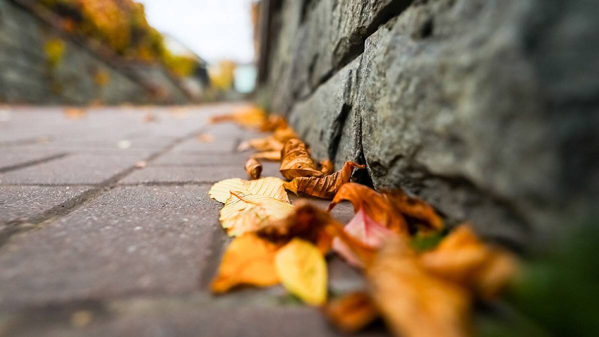    Фото: Софья Сандурская / АГН Москва