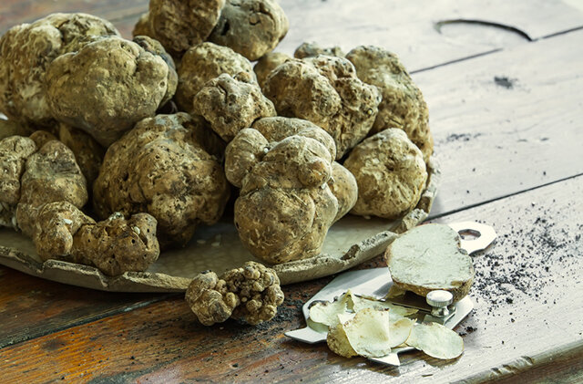    Белые трюфели. Фото: Shutterstock.com