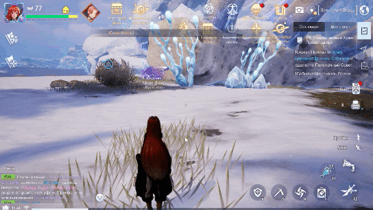 Где купить рецепты?