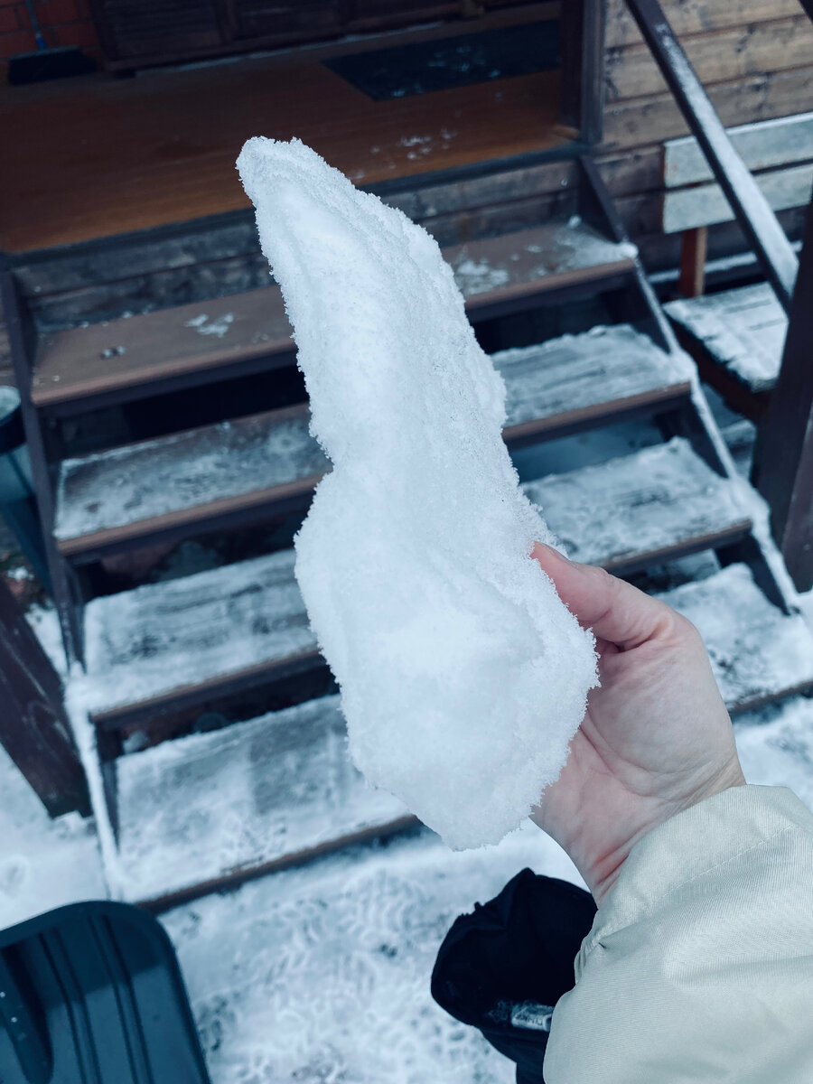 Лед сверху на розах был такой толщины. Везде фото автора.