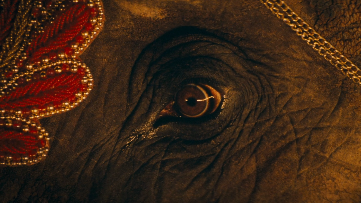 Оператор (Дариус Хонджи) очень хорош!