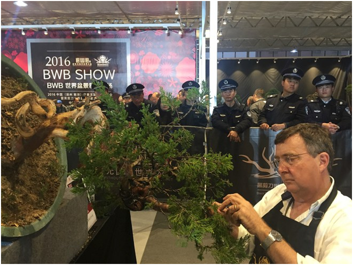 Тони Тикл. 2016  г. 
Источник: https://valavanisbonsaiblog.com/2016/12/10/bonsai-without-borders-global-summit/
