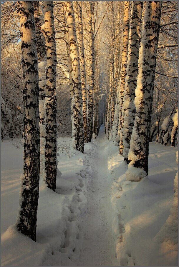 Ветер всегда верный попутчик. Он всегда с нами в пути и в солнечный день и в ненастье. 