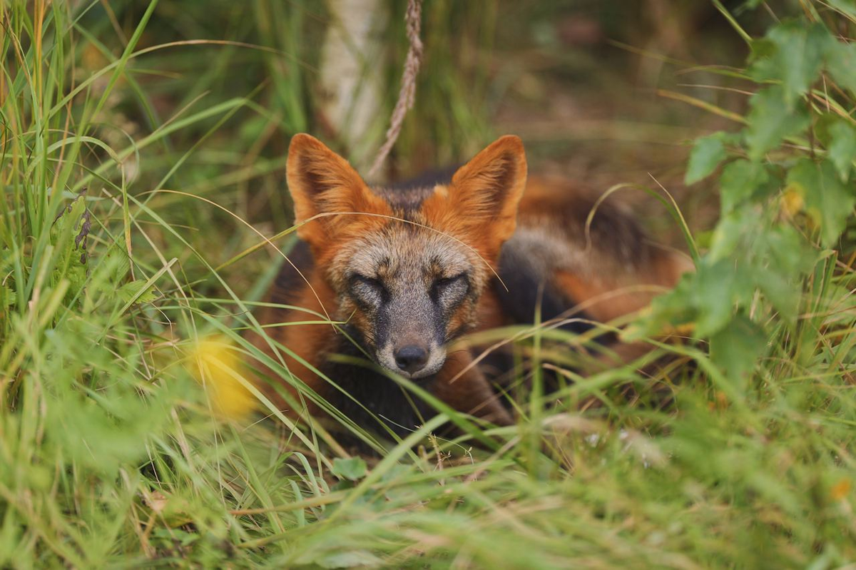 Фото: Дарья Пушкарёва
