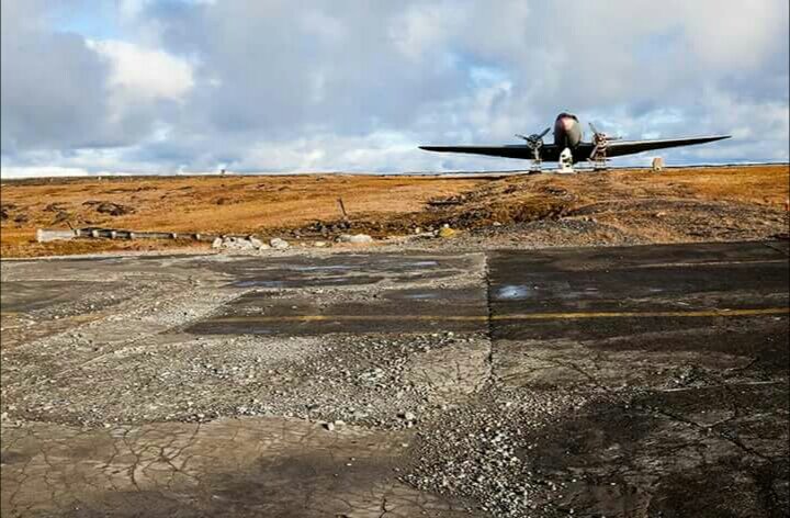 Яндекс.картинки