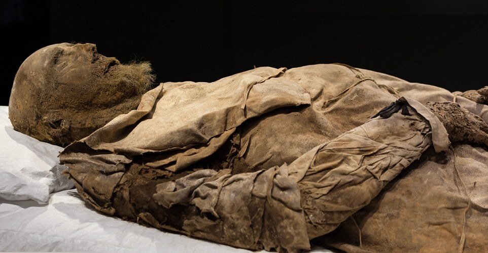 Мумифицированные останки Педера Винструпа, который был епископом Лунда до своей смерти в 1679 году, впервые были выставлены на всеобщее обозрение, прежде чем он был перезахоронен в Лундском соборе. Источник: Лундский университет / скриншот YouTube  