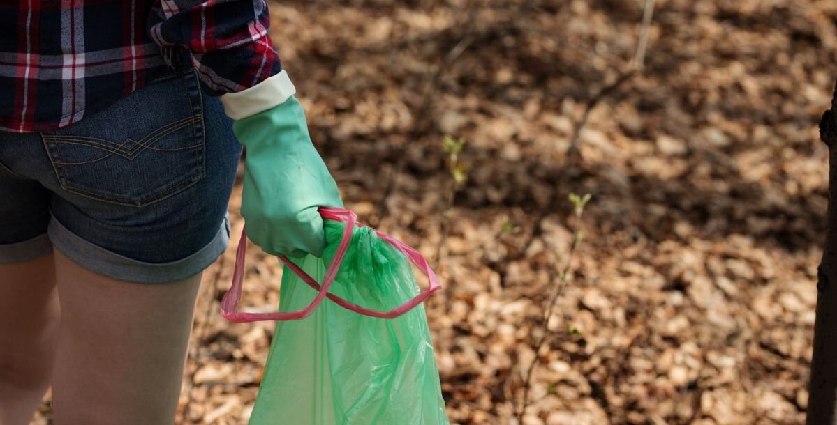 Фото: pixabay.com