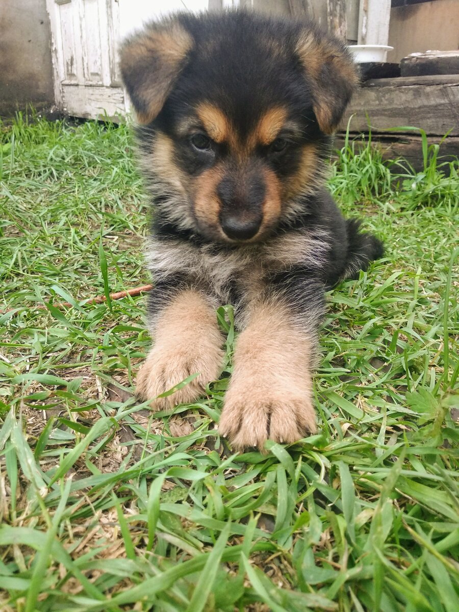 Милашка Лекс :)