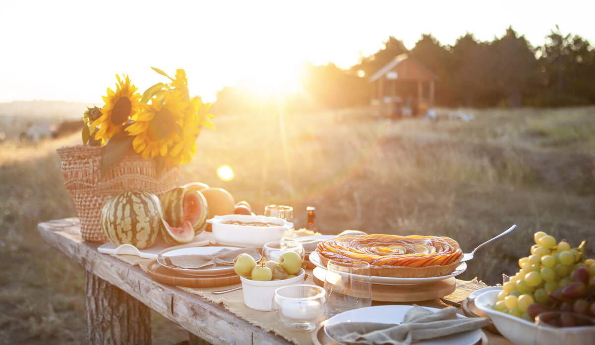 Фото с сайта http://ru.wilmax.club