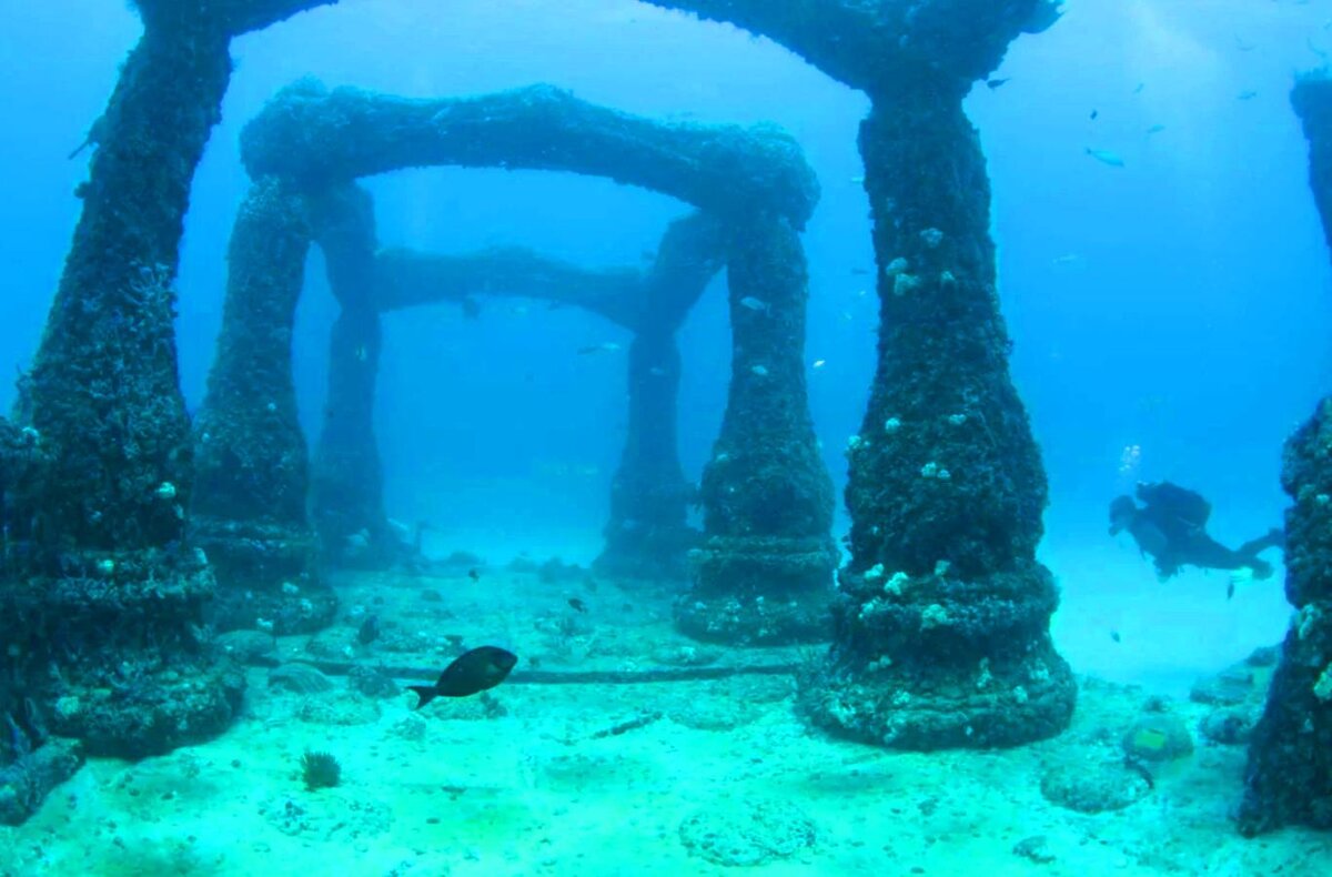                                                  Фото взято из открытого источника