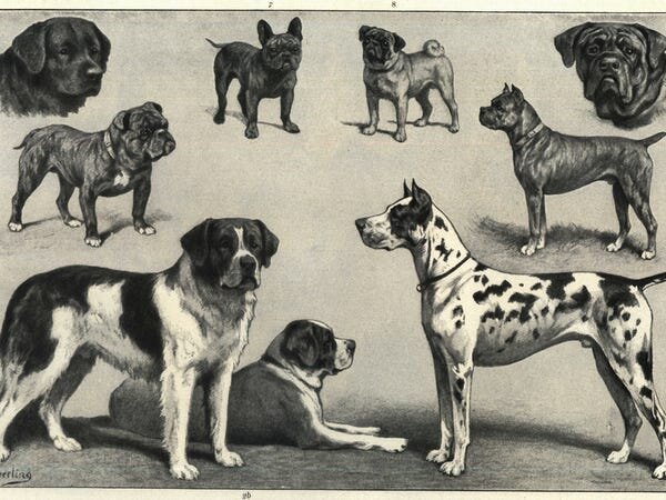 Фото с businessinsider.com