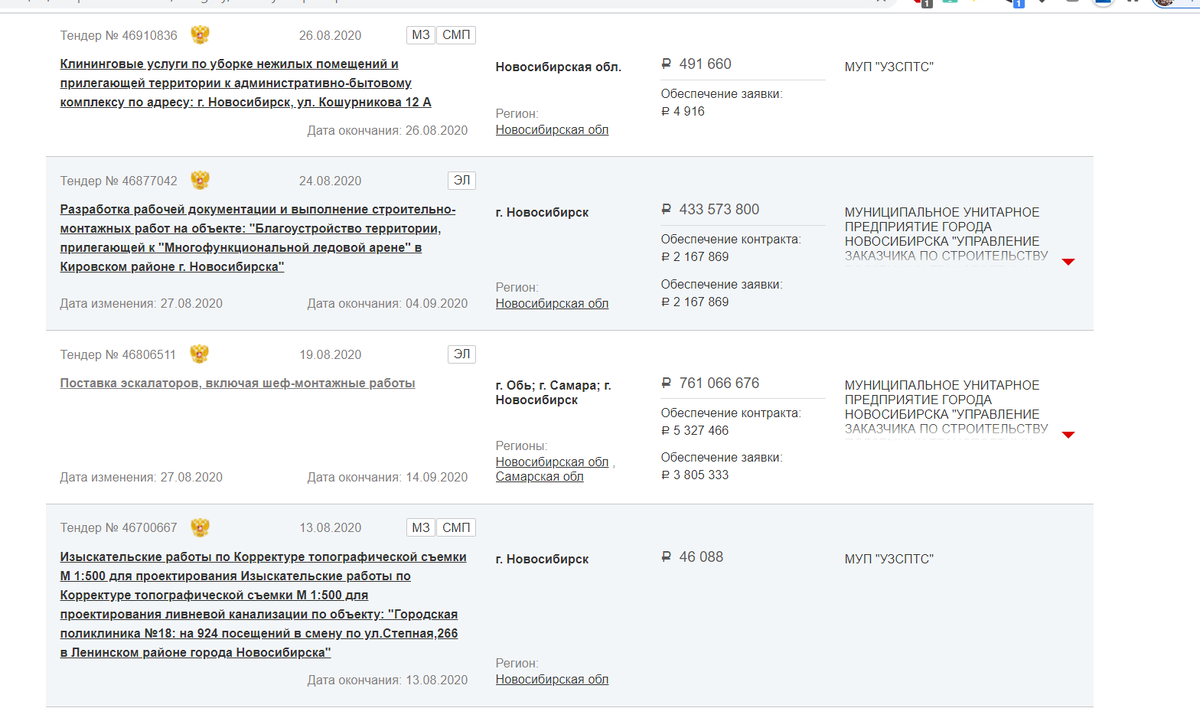 Скрин с сайта госзакупок