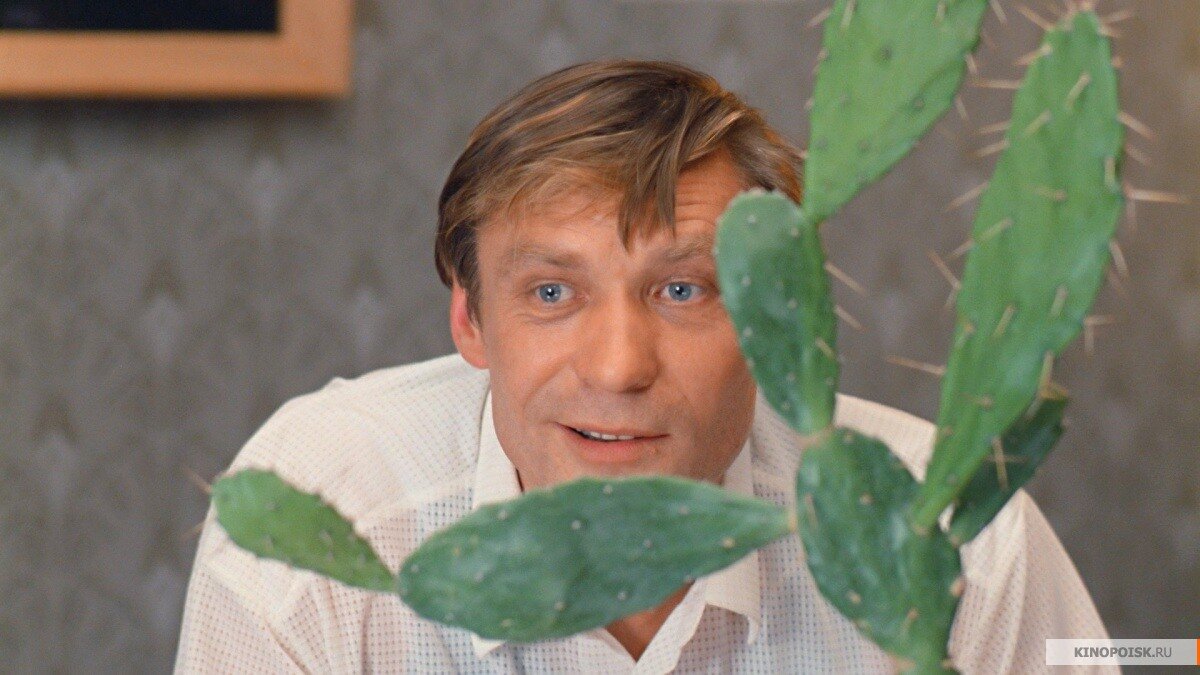 Источник на фото