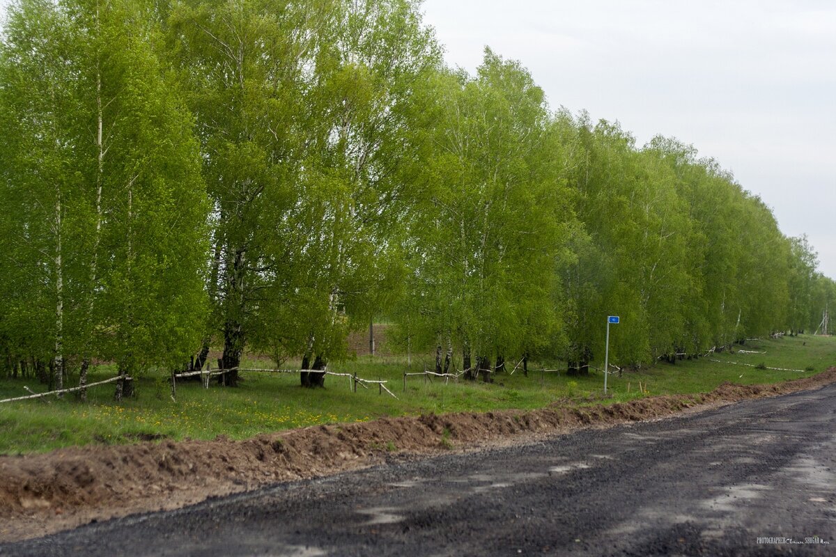 Древний город Васильсурск, священная марийская роща и Нью-Васюки