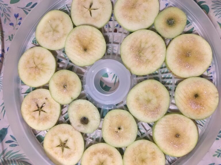 Нарезанные яблоки в сушке