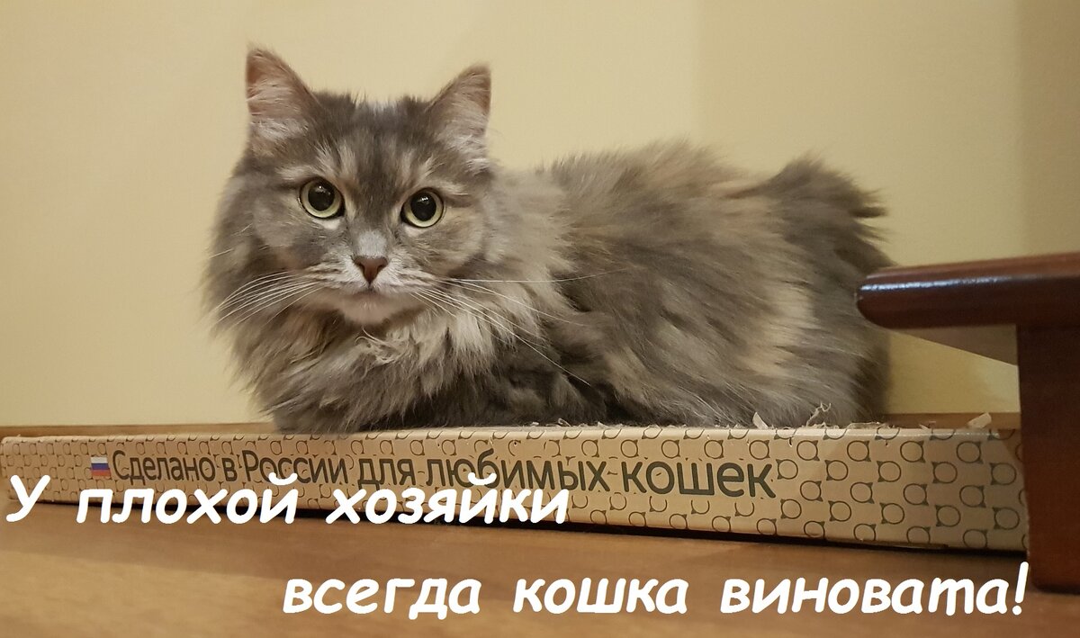 Личное фото.