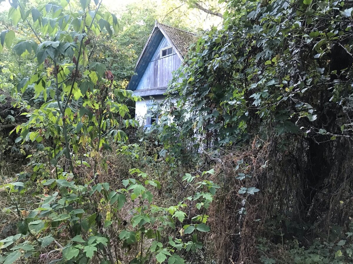 Село Стечанка, Чернобыльская зона