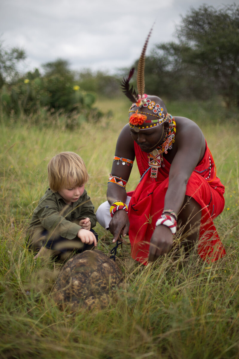 Сафари для детей - это невероятный мир приключений и открытий!