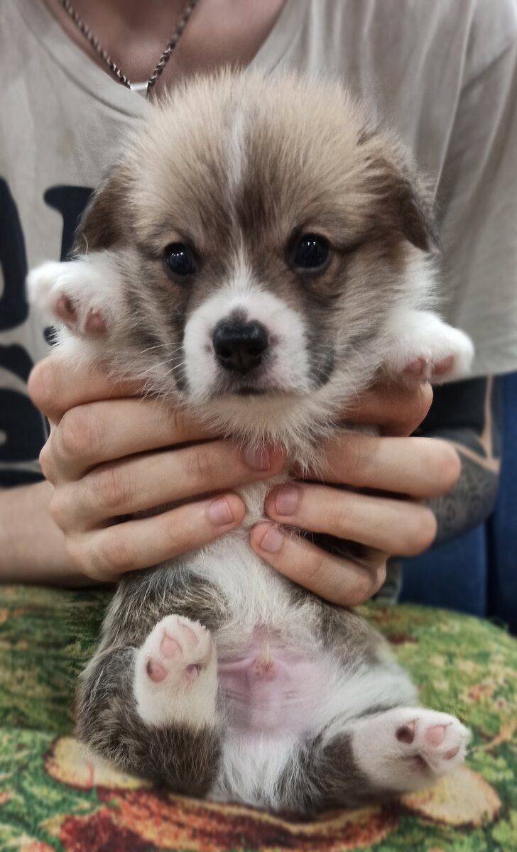 Тут мне ровно 1 месяц