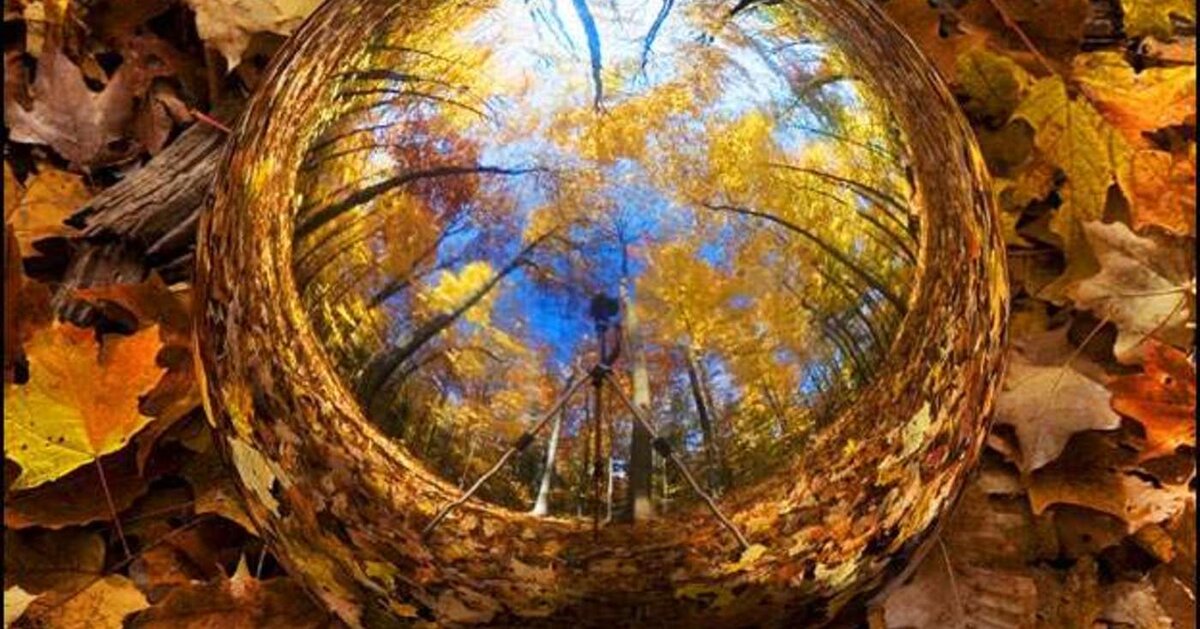 Фото с сервиса Яндекс картинки 