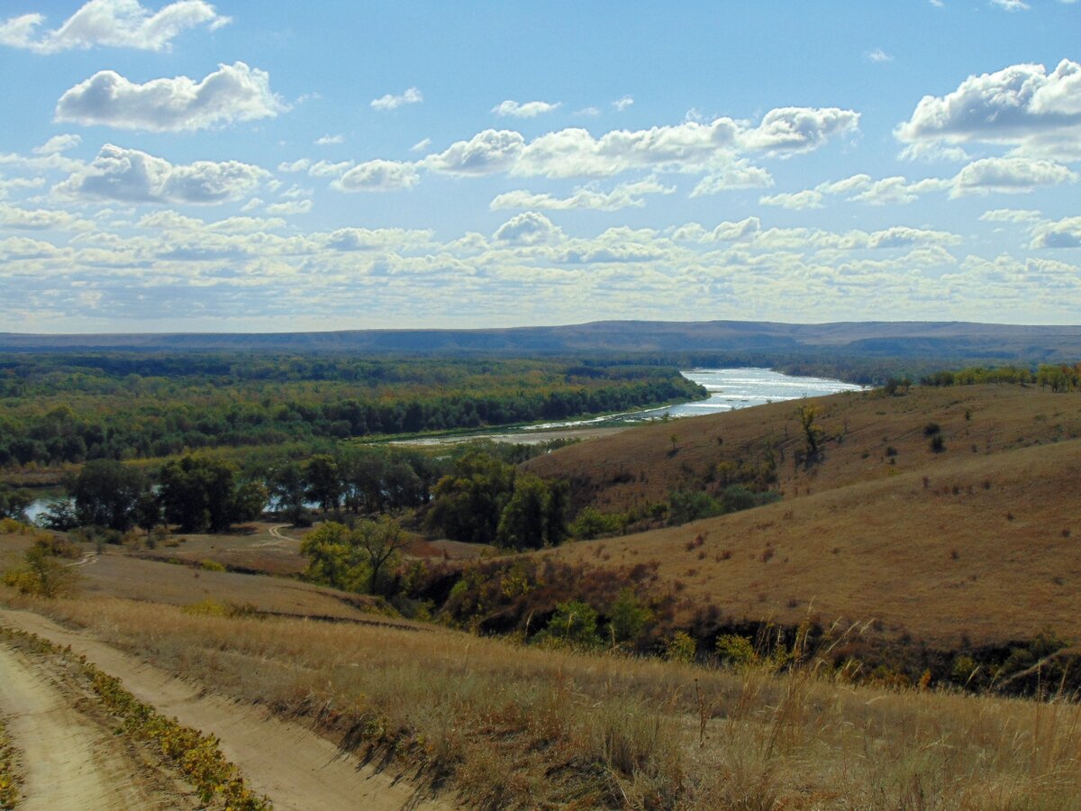 Задонье. Иловлинский район, Волгоградская область. 