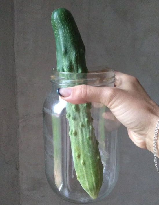 Длинные зеленцы данного сорта не очень-то годятся для консерваций)).