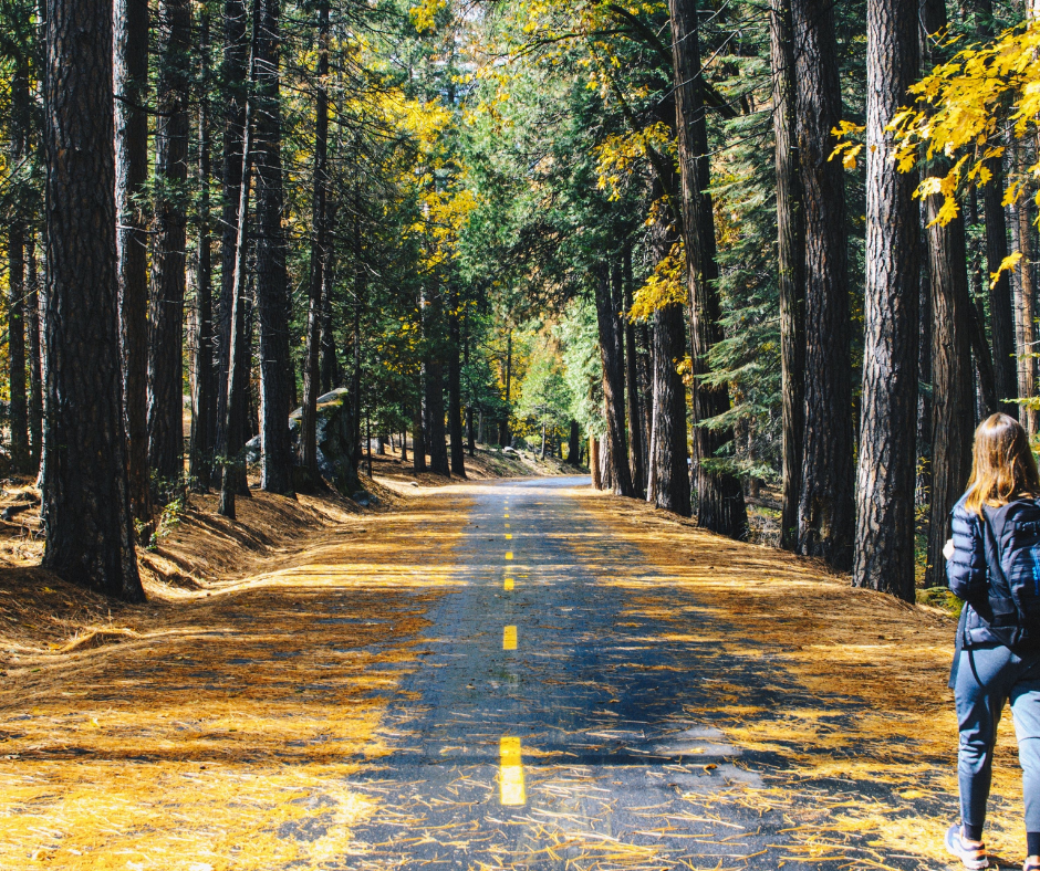 фото canva.com
