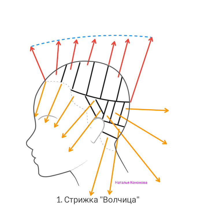 Все о стрижке сенсор