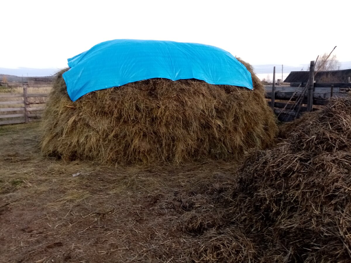 Тент размером 4 х 5 метров. Личные фотографии.