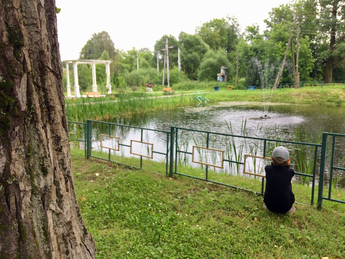 Вербилки»: уютный парк в небольшом посёлке Московской области | ☁️С  облаками☁️ | Дзен