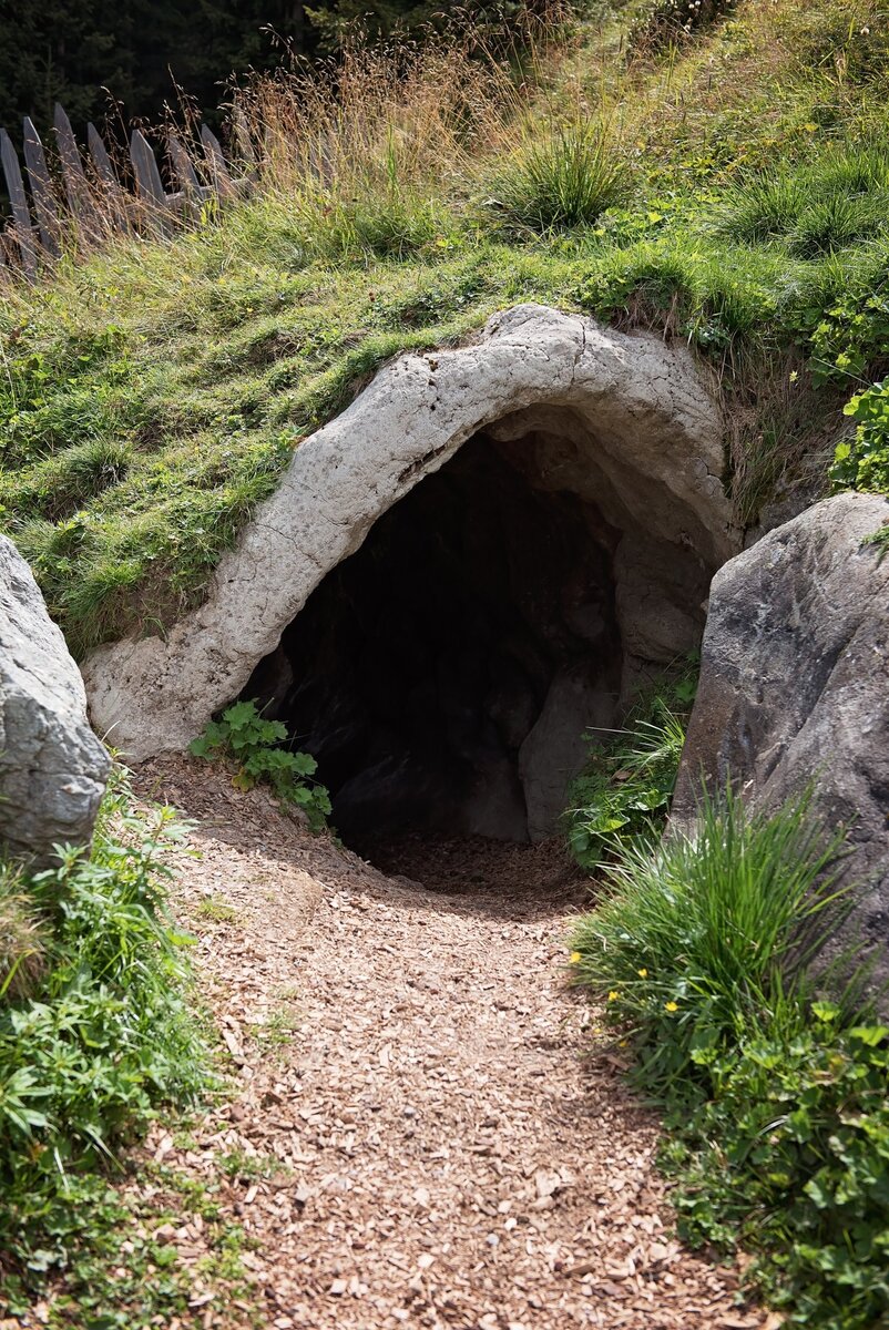 Родился я в маленьком городке и, наверное, в нём бы и умер, окончив жизнь в расцвете лет от пьянства, как и многие местные, если бы не друг моего детства Кот, ну то есть Костик. Лет в тринадцать с родителями он впервые побывал в крупном городе и «заболел» им. В то время как детвора мечтала о таинственных островах и кладах, он бредил шумным муравейником, в котором есть всё, что, по его мнению, надо для счастья. 
    После школы он уговорил меня попробовать другую жизнь, и мы уехали в столицу. Сначала было тяжко — общаги, подработка, учёба, а потом понеслось как по накатанной дороге — первые хорошие заработки, бизнес вдвоём организовали. Я скоро женился, а Кот всё никак. Девки ходили за ним толпами, но к рыцарю, которого он весьма успешно изображал, прилагались тяжёлый характер, ревность и принцип «коль любить, так королеву». Всё шутил, что если женится, то только на Шерон Стоун. В общем, жизнь наладилась, я даже свою родню перевёз к себе поближе. А вот Костя не успел — умерли старики. Уехал хоронить, да и пропал.

    Вернулся Кот через три месяца, осунувшийся, уставший весь какой-то. Предложил выкупить его долю в бизнесе. Домой, мол, хочет вернуться. Я был изумлен. Он домом своим Москву мог назвать, но уж никак не то захолустье, из которого мы когда-то чудом выбрались. Он его с нескрываемой ненавистью в голосе величал Усть-Зажопинском и настаивал, чтобы это к нему приезжали родители, лишь бы самому там не появляться. Да и кто, будучи в здравом уме, поедет из столицы в убогий городок, живущий единственным устаревшим ещё при царе Горохе заводом, который вот-вот закроют? Ещё, говорит, в Москве я не высыпаюсь, а там воздух свежий, отоспался за все годы. А у самого такие мешки под глазами…

    Я пытался образумить, хотя бы уговорить не продавать жильё и не выписываться. Куда там, к доводам разума он вообще не прислушивался, угрожал мне, шипел, чтобы я не вмешивался в его жизнь. Воевал-воевал я с его внезапным бредом, да и сдался. К чёрту, хочет жизнь свою гробить — пожалуйста. Долю его я с грехом пополам выкупил, поругались напоследок страшно.

    А через три месяца он звонит, как ни в чём не бывало, на свадьбу приглашает. Я, конечно, согласился. Появилось, наконец, логичное объяснение отъезду. Только вот чтобы такой рациональный, хладнокровный и умный человек настолько потерял голову из-за бабы?.. Не знаю. Даже если в глубинке он действительно откопал себе Шерон Стоун.

    И, чёрт возьми, насколько верным оказалось это «откопал». Бледная, не то, чтобы страшная, но серая и незаметная, с жидкими волосами в конском хвосте, полноватая, низенькая. Боится всех, говорит тихо и в основном чушь, ума ещё меньше, чем красоты. Почти Шерон Стоун, ага. И рядом Кот — высокий, обаятельный, приятный на лицо, спортивного телосложения, всегда стильно одетый, начитанный и увлекающийся историей и археологией. Я был в шоке. Хотя одна мысль у меня была.

— Неужто по залёту? — я подошёл к нему на свадьбе, когда он курил на заднем крыльце облезлого ресторана.

— Нет, не поверишь, — Кот поднял на меня усталый и потухший взгляд, — просто я не могу без неё. Знаю, звучит ужасно. Мне без неё некомфортно почти до физической боли. Я догадываюсь, что это не любовь, я не знаю, что это. Но иногда просто надо не противиться судьбе.

    Ответ был более чем странным, но внятнее ничего из него я так и не выдавил. Те дни, что я гостил у них, он говорил на любые темы, кроме своей жены. Делился планами отремонтировать дом родителей, приглашал летом приехать. И, да, теперь мы перезванивались, он с явным удовольствием выспрашивал мои новости, интересовался делами фирмы. Но на предложения вернуться хотя бы на время отвечал категоричным «нет». Всё чаще звал отдохнуть и в конце июня уговорил всё-таки. Дела шли всё хуже с самого его отъезда, пыльная Москва давила раскалённым асфальтом… Уехать на природу казалось такой хорошей мыслью! Тем паче, что жена с детьми укатила к своим родителям на море.

    С момента той последней встречи спустя полгода друг выглядел явно лучше. Снова улыбчивый, довольный, разве что не урчал, как настоящий кот. Хлипкая хатка его родителей превратилась в двухэтажный солидный коттедж. Когда только успел?..

    Дом, надо сказать, стоял на самом краю города. Дальше нашей улицы был только резкий спуск вниз, к реке и полям. Там никто ничего не строил, почва плохая. Внизу мы играли в детстве, место пустынное и жутковатое. На том участке реки тонули часто, взрослые объясняли это подземными источниками с ледяной водой — попадал человек в течение воды из подземного ключа, и сводило судорогой ноги. А зимой всё было и так ясно — тонкий лёд. Все знали, что место дурное для купания, но 5-6 человек в год река забирала. Среди детей ходили дурацкие байки про злых привидений, утаскивающих людей на дно. Повод для баек был хороший — на том берегу сохранились чёрные останки сгоревшей деревушки. Злые привидения из деревни и Чёртов камень были почти достопримечательностями в нашей глубинке.

    К последнему нас ноги и принесли в первую же вылазку на природу. Мы просто шли куда глаза глядят и болтали. Чёртов камень — это огроменный валун на берегу реки с выбитыми на нём непонятными знаками. Вокруг него ходила тьма историй. В основном про всякие языческие обряды. И, наверное, они были недалеки от истины: мы несколько раз находили на нём вскрытых мелких животных и птичьи перья. Не знаю, было ли это жертвоприношением или, может, кто-то просто хотел отпугнуть детишек от опасного места… Говорили, что взамен на что-то дорогое камень может исполнить желание. Никто не верил, само собой. Помню с детства, как Ленка, одноклассница моя, закопала рядом любимую куклу, плакала и просила, чтобы родители перестали пить. Не исполнилось, конечно. Странное, кстати, дело — я думал, что со временем под своим чудовищным весом камень уже уйдёт в песок хотя бы на четверть…

    Сидя на высоком обрыве, я жаловался Коту на то, как плохо идут дела, просил снова его вернуться, он молча смотрел на воду. И тут мне в голову стукнула дурная мысль. Я встал и, положа на валун обе руки, громко попросил у мироздания денег для решения проблем. Много, быстро и чтобы мне за это ничего не было. Кота это развеселило — он сказал, что подумает, раз я уже у чёрта денег просить решил.

    Уже вечером, сидя за домашним сливовым вином, он предложил помочь мне своими сбережениями. Но дела мои были не настолько плохи, чтобы потрошить счета друга, тем более что работы в этой дыре не было — он предполагал, видимо, на них и жить, а у меня теплилась надежда, что он вернётся в столицу. Да и внезапно взыграла гордость. Что я, не могу без него ничего сделать, что ли?

    В поисках новой темы для разговора я оглядел кухню, отметив, что ей не хватало женской руки. Всё было аккуратно и чисто, Кот вообще был очень щепетильным в этом плане, но не хватало чего-то душевного такого, уютного, вышивки какой-нибудь, например. Да и всяких женских штучек в ванной не было. Я осторожно поинтересовался:



— Давно со Светкой разбежался?

— Да не разбежался… Утонула она в начале мая.

    Кот открыл форточку и, вернувшись за стол, закурил. Редкое зрелище, на моей памяти он никогда не курил в помещении.

— Мы тут уже жили. Поругались вечером. Выскочила на улицу в истерике. Я за ней, одумался вроде, помириться решил, но там такой туман был, что, сколько ни ходил, всё к дому возвращался. Утром ниже по течению… — он помолчал и потянулся в тумбочку за ещё одной бутылкой, — нашлась. Дура, ночью успокаивать нервы купанием в холодной воде… Вижу её, правда, иногда.

    Меня как холодом обдало. Он сказал это таким обычным будничным голосом, будто поинтересовался, который час. Пересилив себя, я ухмыльнулся и отодвинул от него бутылку. Кот шутку оценил, рассмеялся и, прикурив ещё одну сигарету, двинулся уже на крыльцо. Сгущался туман. Здесь в низине он был частым гостем.

— Вот там Светку и вижу. Кажется, стоит там, зовёт, а потом спускается к реке. Веришь, нет, сто раз хотел уехать уже, да хотя бы в центр города, а всё жду по вечерам этот туман дурацкий. Если б я её нашёл тогда… Вон, видишь?!

    Он судорожно махал рукой в сторону реки, но я ничего не видел. Сплошное марево. А потом Кот сорвался с места и собрался туда идти, весь сам не свой, я едва успел его схватить и втащить чуть ли не силой в дом. Под ярким светом кухонной люстры он словно пришёл в себя, извинился и пошёл спать.

    Полторы недели пролетели практически незаметно. Комфортный дом, природа, свежий воздух, здоровое питание, а из Кота был тот ещё массовик-затейник. В общем, в Москву возвращаться не хотелось, но пришлось. И лучше бы не возвращался, а потерялся где-нибудь в глуши. Всё шло наперекосяк, всё разваливалось, за что ни брался, а младшая дочь серьёзно заболела. Буквально за месяц вся жизнь рухнула в долги. Кредиторы начали угрожать, жена стала бояться выходить из дома. Квартиру решил продать.

    И контрольный выстрел — новость о смерти Кота. Я с тупым выражением лица сидел у телефона и слушал что-то о наследстве, завещании, я не мог даже представить себе, что это когда-нибудь случится. Он для меня был роднее всех родственников, вместе взятых. Не помню, как ехал туда. Сразу на кладбище. Его даже похоронили родственники жены, я узнал слишком поздно. Говорил с ним о чём-то. И, боже, даже стоя у его могилы, я отчаянно не хотел верить. Всё было, как в тумане.

    Выяснилось, что он оставил мне дом и двухкомнатную квартиру в центре города. О последней я даже и не знал. Видно, и правда хотел перебраться подальше от своих туманных видений. Поехал к нему домой. Уже темнело, и я пошёл сразу спать. Ночью проснулся от странного шума внизу, подумал, что воры забрались в пустующий официально дом. Что брать тут было, я скорее был удивлён, что до сих пор никто не влез. Цапнул стальной прут, которым шторы поправляли, и пошёл на первый этаж. Но нет, никого не было. Показалось или, может, приснилось. Стоило расслабиться и поставить ногу на лестницу второго этажа, как в кухне раздался звон. Я рванулся туда. Включил свет и обомлел. За столом сидел Кот. Не зомби, не труп, а мой друг, настоящий и как живой. Только чуть бледный. Улыбнулся, сделал жест, приглашающий сесть. Я не сел, я просто рухнул на стул, сжимая мёртвой хваткой стальной прут, как последнюю соломинку, удерживающую меня то ли от обморока, то ли от помешательства. Кот, живой, неужели перепутали, похоронили кого-то не того, или на моей кухне бродит… привидение? Подумал так и осёкся. Это я на его кухне, а не наоборот. А он словно услышал мои мысли, заулыбался пуще прежнего. И говорит тихо так:

— Ну что, дома и квартиры хватит на долги? Али машину надо было ещё отписывать?

    Голос его, интонации его, но такой пустой. Вот, он губами и глазами улыбается, а голос пустой, бесцветный. Наливает мне стакан своего домашнего вина, всё улыбается, а я думал, что с ума сойду. Стакан этот я залпом выпил и снова вцепился в свой прут. А Кот к газетке потянулся, оторвал клочок и написал что-то, положил передо мной. Читаю «Беги» и… просыпаюсь в холодном поту, меня бьёт крупная дрожь. На часах три ночи, за окном привычный туман. Только сон. Успокоив себя, пошёл в кухню воды попить. На входе спотыкаюсь — вот он, мой спасительный стальной прут. Включаю свет — на столе пустая бутылка и стакан, перевёрнутый дном вверх. Под стаканом что-то лежит. Точно, клочок газеты с кричащим «Беги».

    Очнулся я уже часов в шесть утра, в своей машине, судорожно сжимая металлическую иконку Николая Чудотворца, прежде приклеенную к передней панели. Приснилось, привиделось, лунатил. Уговорил сам себя выйти, пошёл к дому. Или не привиделось? Вон стоит в тумане, машет, зовёт. Кот? Не знаю, о чём я тогда думал и думал ли вообще, но я пошёл за ним. Шёл, шёл, шёл… Мне кажется, чёрт меня водил целую вечность, крутил по кругу, смеялся голосом друга, звал. Я словно понимал, что это не Кот, но так отчаянно рвался, будто бы, поймай я призрака, я сумел бы вернуть друга. Я в это… верил, что ли. И никогда больше и ни во что я не верил сильнее, чем тогда в эту откровенную мистическую глупость.

    Было очень холодно, но я этого не чувствовал, пока меня кто-то резко не дёрнул назад. Оказывается, я уже стоял почти по пояс в ледяной воде рядом с Чёртовым камнем, а какой-то старик тянул меня за руку. Счастливая случайность — сосед увидел, как я побежал к реке, и пошёл за мной. Я ему всё рассказал, думал, он сейчас санитаров вызовет, а он головой покачал только. Говорит, много дураков к камню ходят, вот и вылавливают потом их или их близких — самое дорогое, говорит, забирает. Говорит, мол, Кот знающий был, не нашего теста, Кота слушай. Я на него смотрю ошалело, как же слушать, когда он умер. Дед руками развёл только. Говорит, жалко, баба его дура была, прямо как ты.

    Отогрелся и на кладбище. Не знаю, что я там ждал увидеть. Разрытую могилу? Снова привидение? С памятника смотрит Кот, рядом могила его жены, бесцветной мыши, на которую никто бы и никогда не обратил внимания, если бы не её заветное желание, выпрошенное в «нужном» месте. Да вот только черти на подносе любовь принести не могут, как ни желай, но быстро забирают «своё». Ещё вчера я ни за что бы не поверил в такую чушь, но теперь это объяснение его тогдашнего отъезда было едва ли не единственным и самым логичным.

    Наследство я потом продал, конечно. Мою шкуру оно спасло, но… Мне до сих пор часто снится сон, как я в тумане ищу своего друга, что он вот рядом, протяни руку, но постоянно ускользает. И снится этот смех. И это: «Хватит на долги?». Я боюсь по ночам заходить на кухню, он иногда бывает там, улыбается, советует, всегда верно, но как же я его боюсь… И себя боюсь. Как же тяжело жить с этой виной, которая давит на грудь всем весом Чёртова камня, как страшно засыпать, когда эти ужасные кошмары подстерегают меня, когда манит проклятый туман…