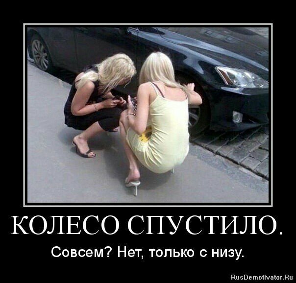 Картинка из инета