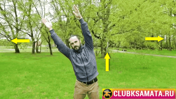 Наклоны в стороны