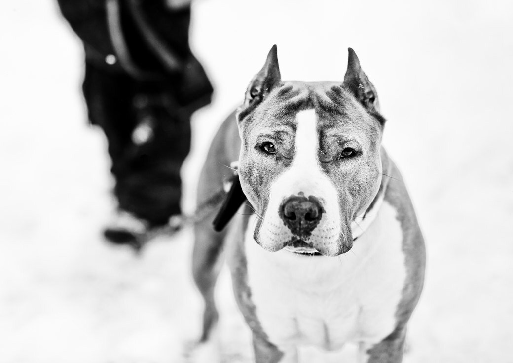 Вот примерно такой Рэмбо