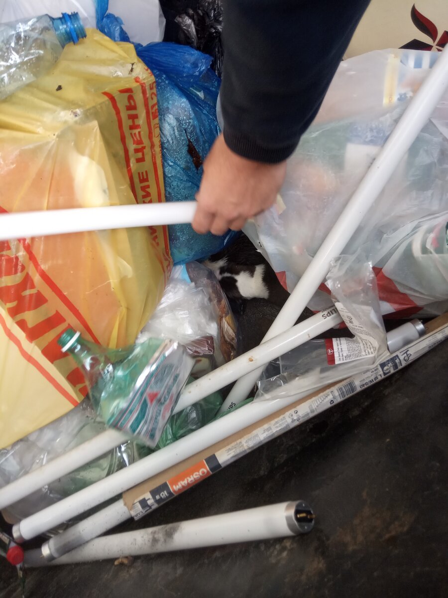 Детки на дне мусорного контейнера.