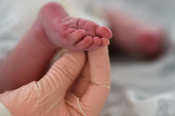 Фото: РИА Новости/Владимир Астапкович 