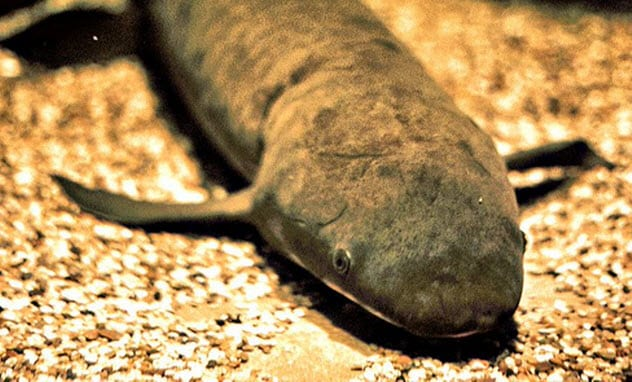 Фото: Live Science