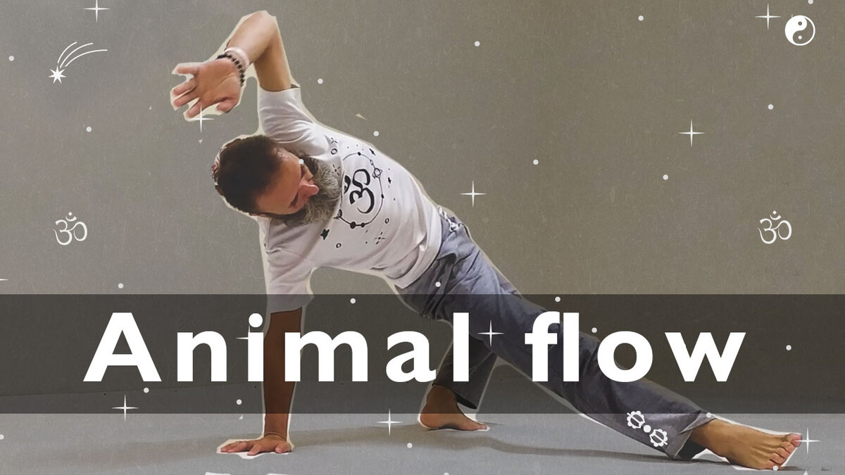 Animal flow, или звериная гимнастика для вашего прогресса в спорте | Йога с  Вадимом Левашовым | Дзен